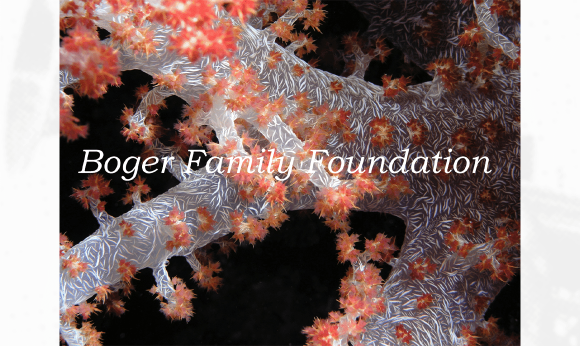 Boger Family Foundation